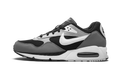 AIR MAX CORRELATE Wolf Grey 511416 011